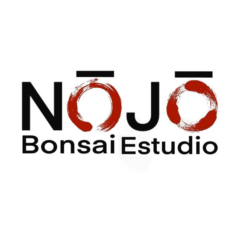 Nojo Bonsai