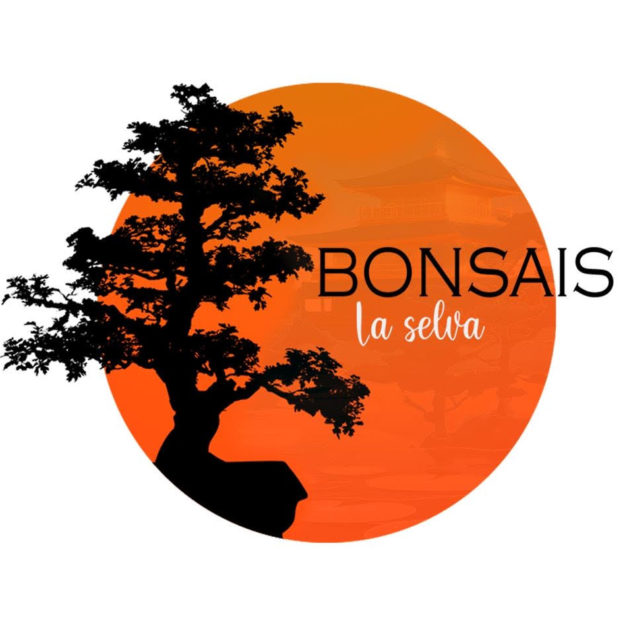 Bonsais La Selva