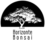 Horizonte Bonsai