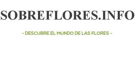 SobreFlores.Info