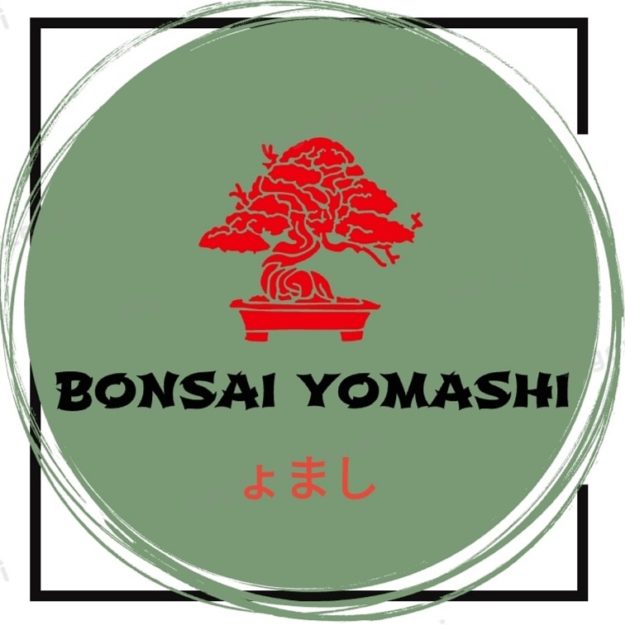 Bonsai Yomashi