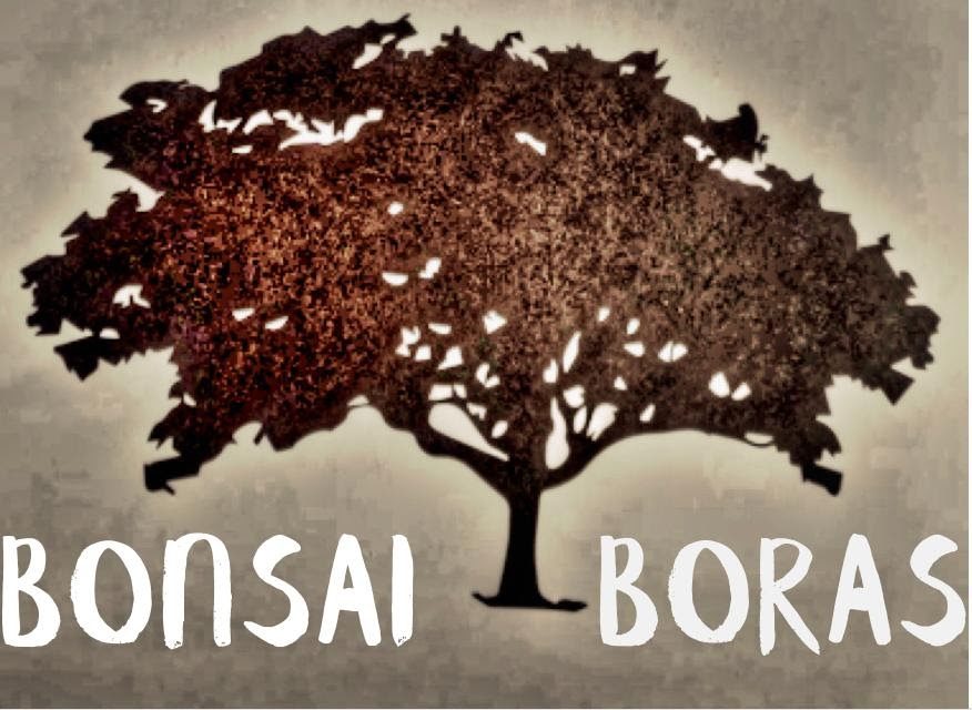 BonsaiBoras
