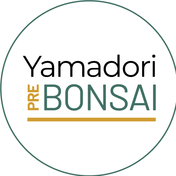 Yamadori pre Bonsai